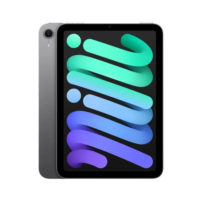 iPad mini - Space Grey