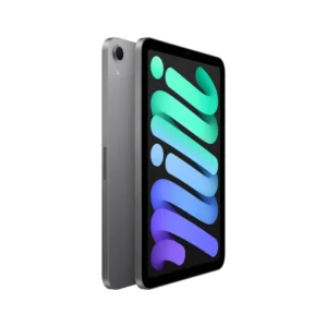 iPad mini - Space Grey